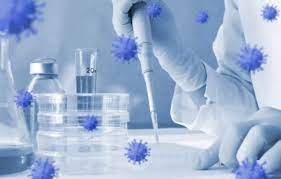 Pandemic prevention should centre on conserving nature, biodiversity: Study