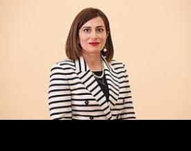 Ministry of Health and the Council of Europe Office organise a two-day conference to discuss the action plan in Armenia