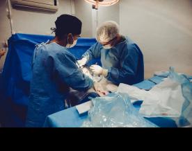 Kyrgyz woman gets new lease of life with 'auto liver transplant' in Delhi