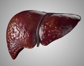 Gurugram hospital performs world's first living donor liver transplant with double heart valve surgery