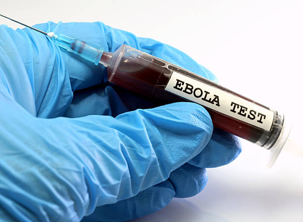 WHO Declares Global Health Emergency as Rare Ebola Strain Spreads Untreated