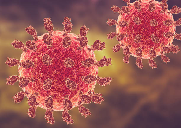 India Develops 100% Accurate Rapid Detection Kit for Deadly Nipah Virus: ICMR-NIV Director