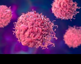 Researchers discover new approach against follicular lymphoma
