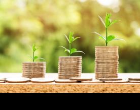 Indian drugmaker Cipla tops Q2 profit view on solid domestic, N.America sales