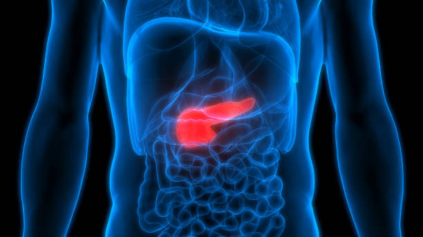 Specific gene mutations accelerate growth of pancreatic tumours: Study