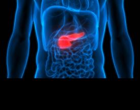 Specific gene mutations accelerate growth of pancreatic tumours: Study