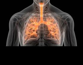 Lung transplant at right time only cure for idiopathic pulmonary fibrosis that killed Zakir Hussain