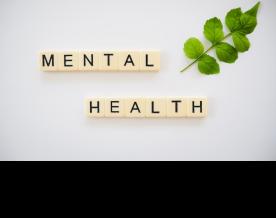 Yerevan hosts the World Psychiatric Association Forum 