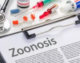 India Launches Rs 383-Crore National Mission to Combat Zoonotic Diseases