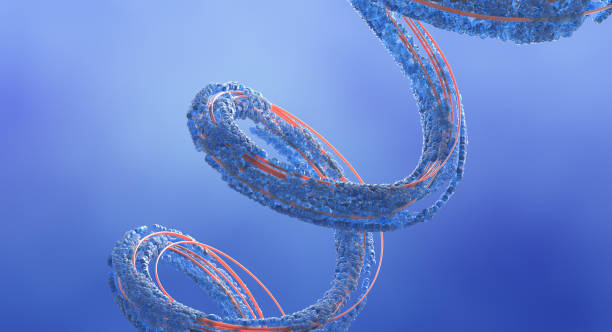 Peptides: performance-boosting, anti-ageing drugs or dangerous snake oil?