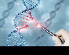 Scientists identify four new breast cancer risk genes