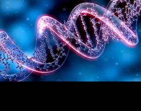 Genetic causes of three previously unexplained rare diseases identified