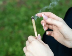 Herbal Cigarettes May Pose Greater Health Risks Than Conventional Tobacco, New Study Warns