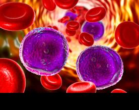 Five-year survival rate for children with acute lymphatic leukemia has increased: Study