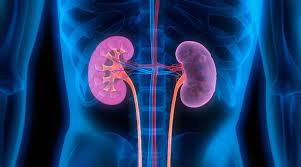 Health department launches new scheme to prevent kidney diseases