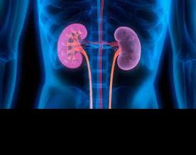 Health department launches new scheme to prevent kidney diseases