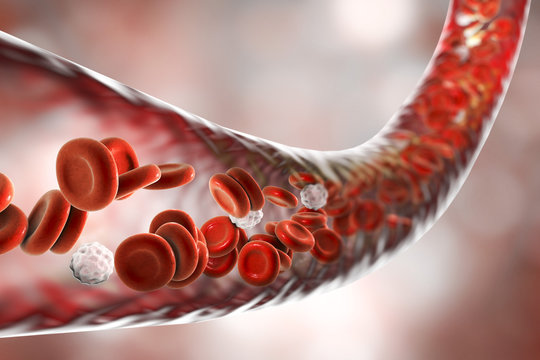 Study finds COVID-19 may have aged blood vessels by 5 years, especially among women
