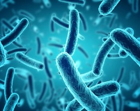 Painkiller use with antibiotics may increase bacterial resistance: Study