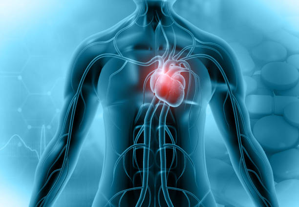 Chronic inflammation linked to silent heart damage, study says