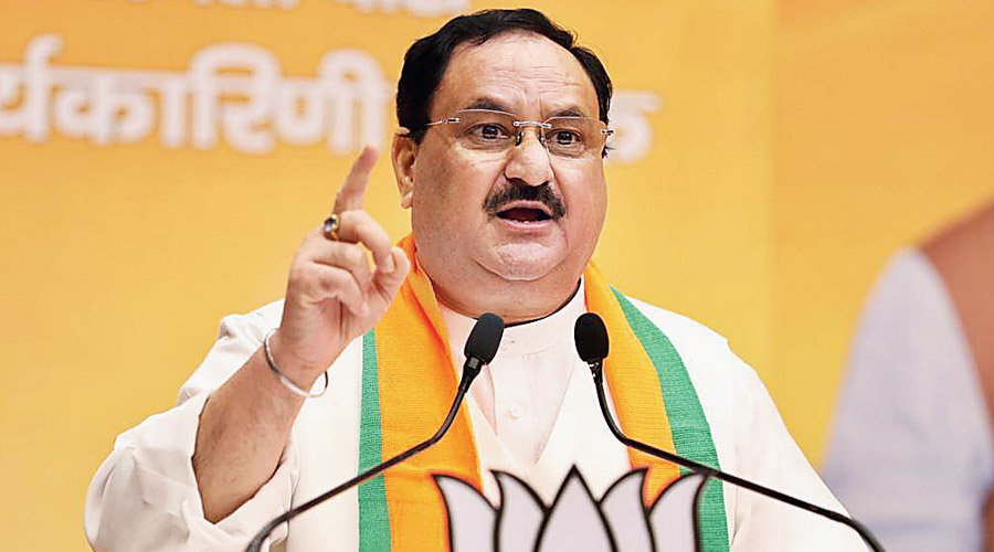 Nadda asks pharma industry to reduce dependence on imported APIs