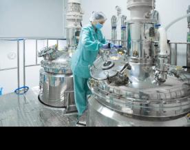 Pharmaceutical production worth 10 billion rubles to be created in the Murmansk region