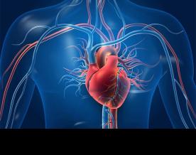 British doctors report cases of spontaneous recovery from irreversible heart disease