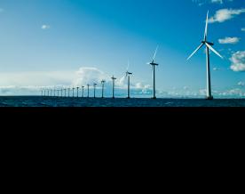 Terumo India Introduces FineGlide® - Sterile Pen Needle for Patients Requiring Insulin Injections or Other Self-Medications