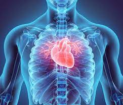 Abbott to acquire Cardiovascular Systems for $837.6 mln
