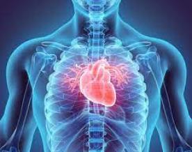 Abbott to acquire Cardiovascular Systems for $837.6 mln