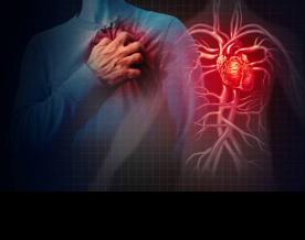 Scheme launched to prevent deaths due to heart attacks