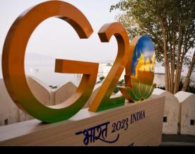 G20 Health Ministers call for building resilient, equitable access to affordable medicines in developing world