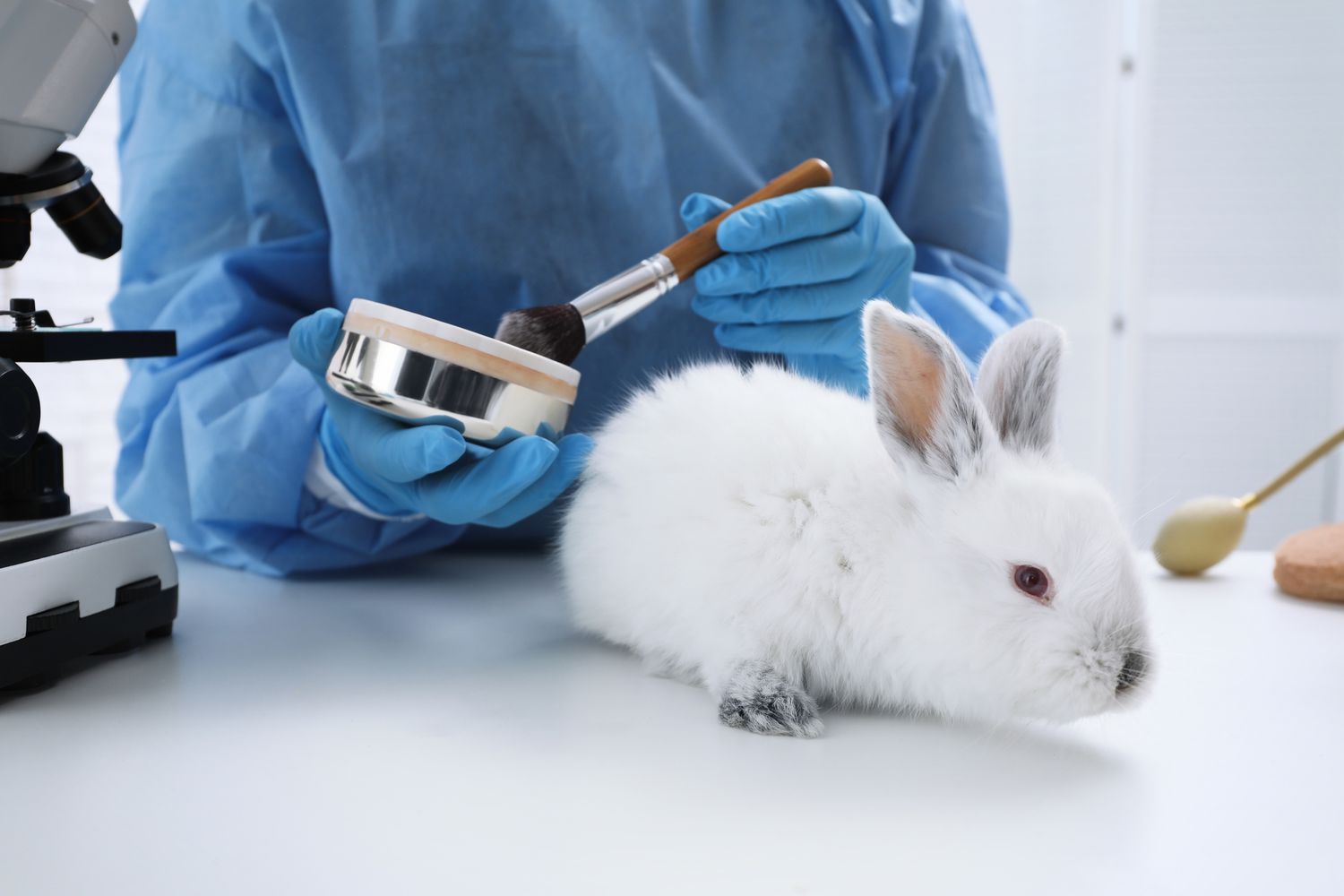 UK to begin testing cosmetics on animals again