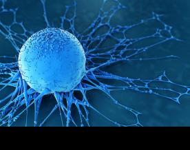 Study finds cancer stem cells trigger macrophage ageing