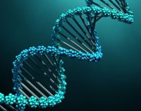 Indian researchers identify novel USP18 gene mutation tied to rare childhood neurological disorder