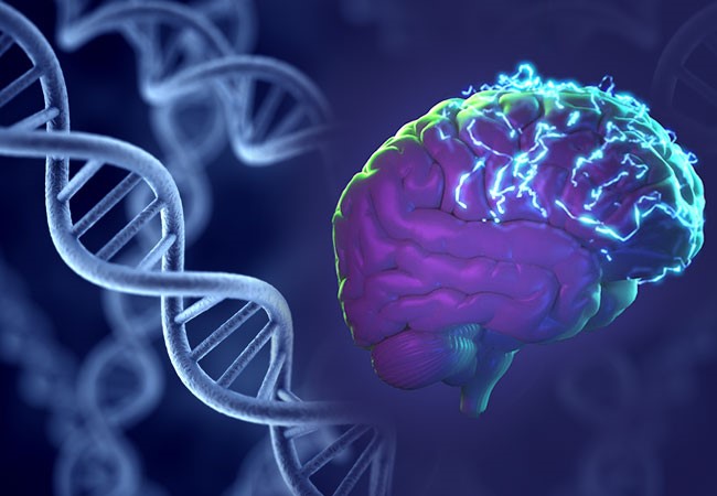 An 8 -year -old gets a cure for epilepsy: Thanks to the latest technologies in MC “Arabkir”	