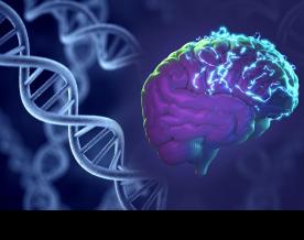 An 8 -year -old gets a cure for epilepsy: Thanks to the latest technologies in MC “Arabkir”	