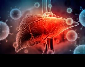 WHO launches 'One life, one liver' campaign on World Hepatitis Day