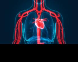 Cardiorespiratory fitness associated with 40 per cent reduction in risk of 9 cancers