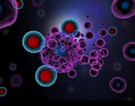 Immunotherapy helps to fight against cancer: Study