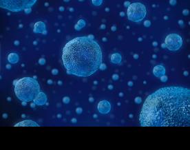 Research reveals why presence of healthy cells enables cancer to resist treatment