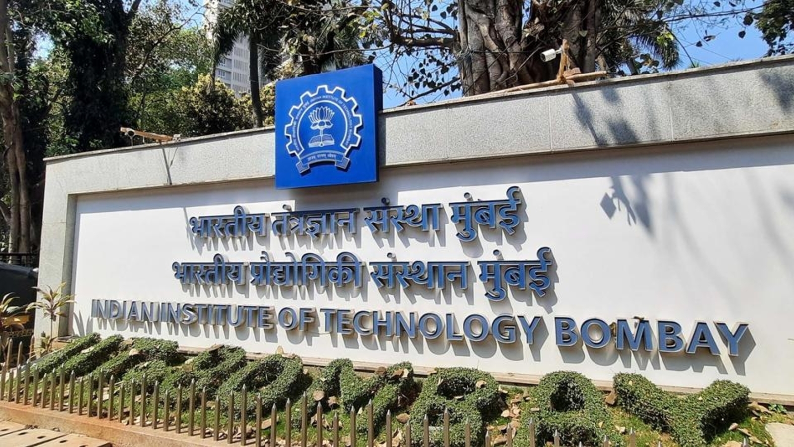 IIT-B study opens up possibility of using magnets to treat cardiovascular diseases