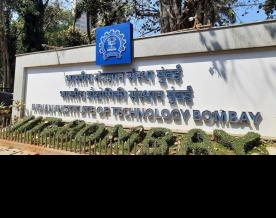 IIT-B study opens up possibility of using magnets to treat cardiovascular diseases