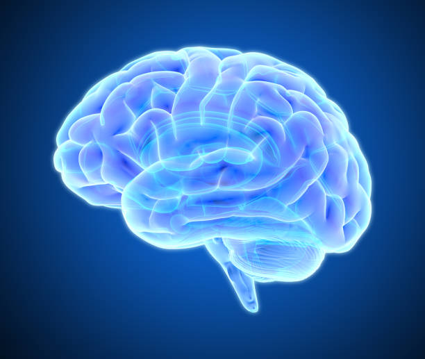 Study finds if traumatic brain damage, dementia be linked by cerebrospinal fluid leaks