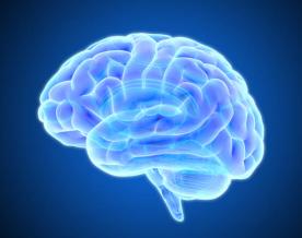 Study finds if traumatic brain damage, dementia be linked by cerebrospinal fluid leaks