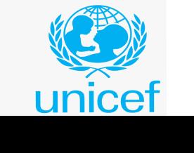 India identified digital health as top priority, gained expertise: UNICEF India's chief of health