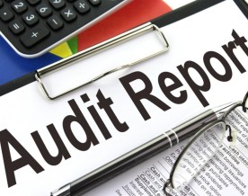 K'taka forced to cut down its funds fur nutrition, local bodies due to increasing subsidies: CAG