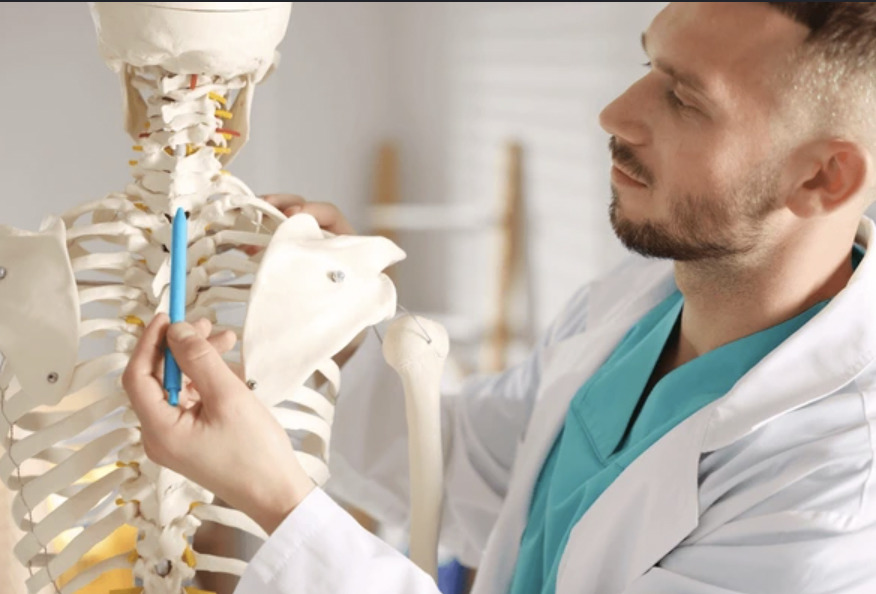 Scientists discover hidden molecular switch that can strengthen bones