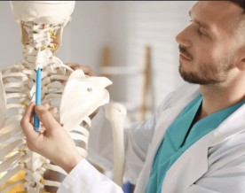 Scientists discover hidden molecular switch that can strengthen bones