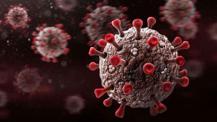 New variant of Covid-19's Omicron detected in Nepal: Health Ministry