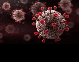 New variant of Covid-19's Omicron detected in Nepal: Health Ministry